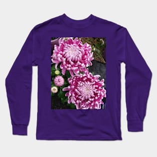 Chrysanthemum Flower Pink Long Sleeve T-Shirt